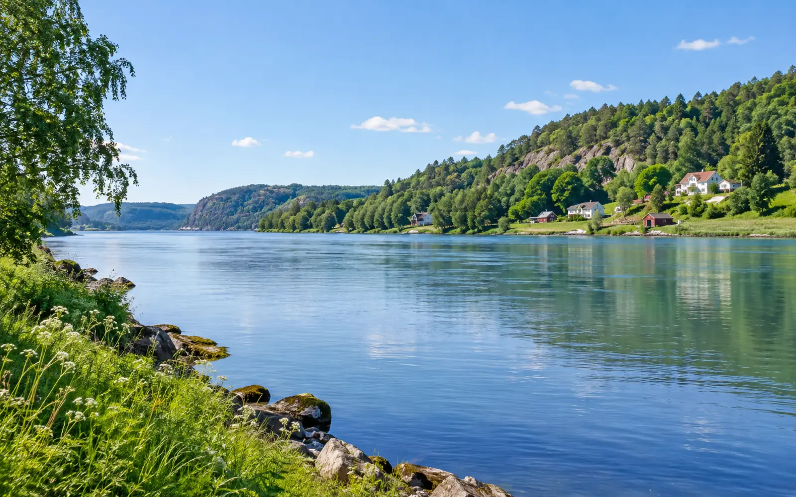 Ales lokala miljö och landskap