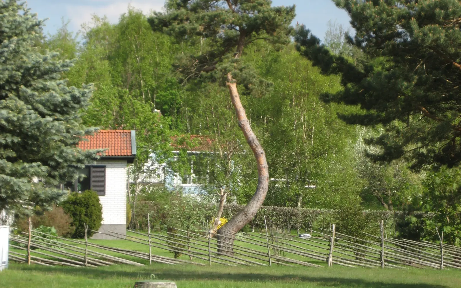 Åsa i Kungsbacka