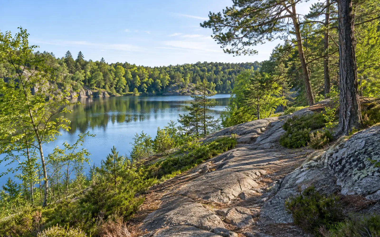 Kikås i Mölndal