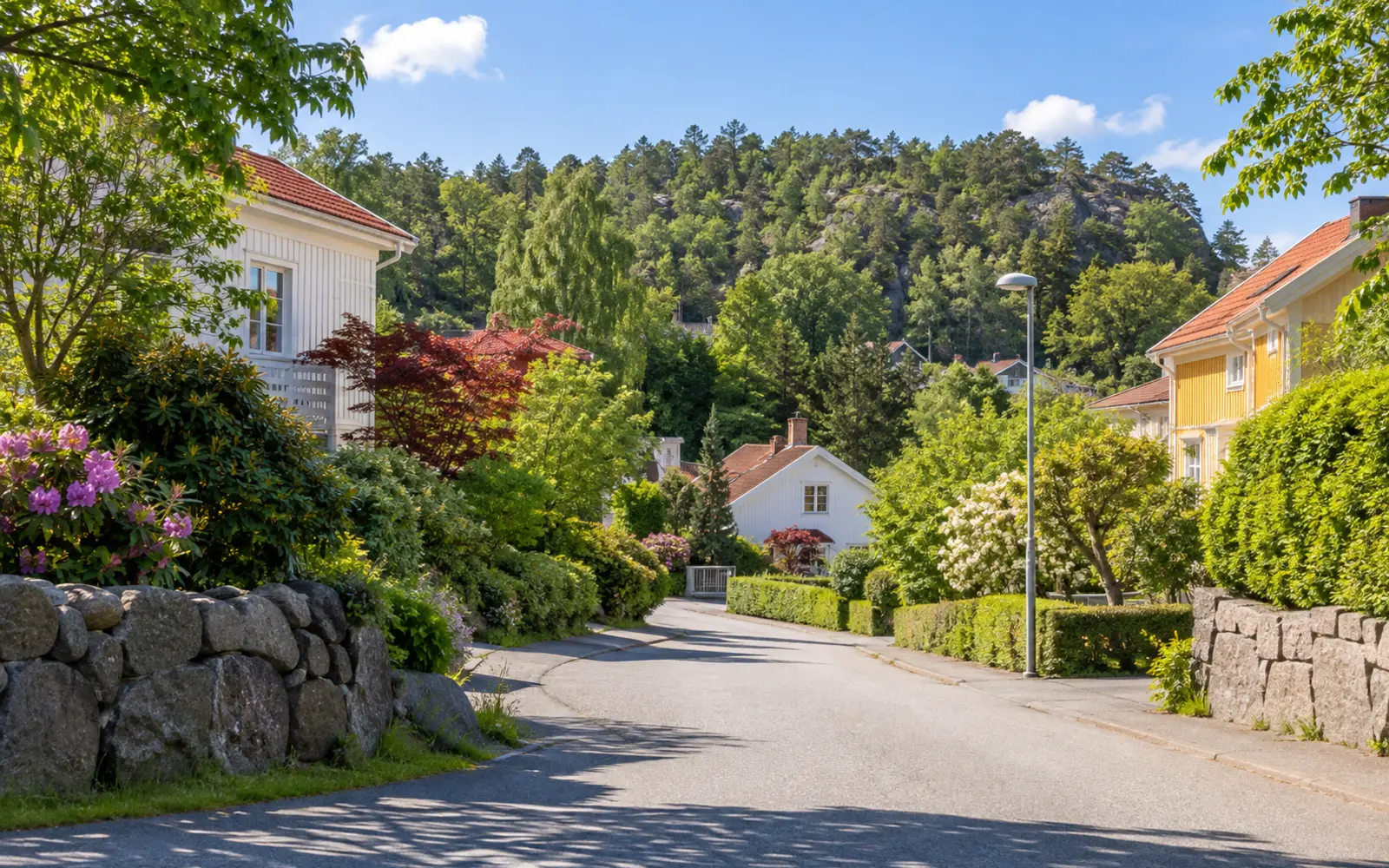 Rävekärr i Mölndal