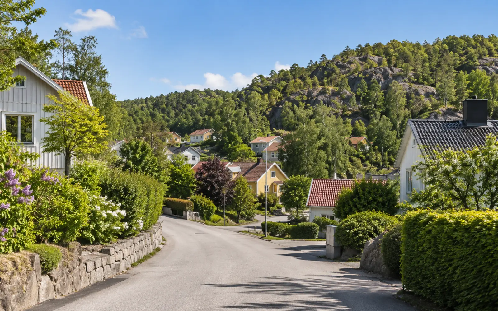 Toltorpsdalen i Mölndal