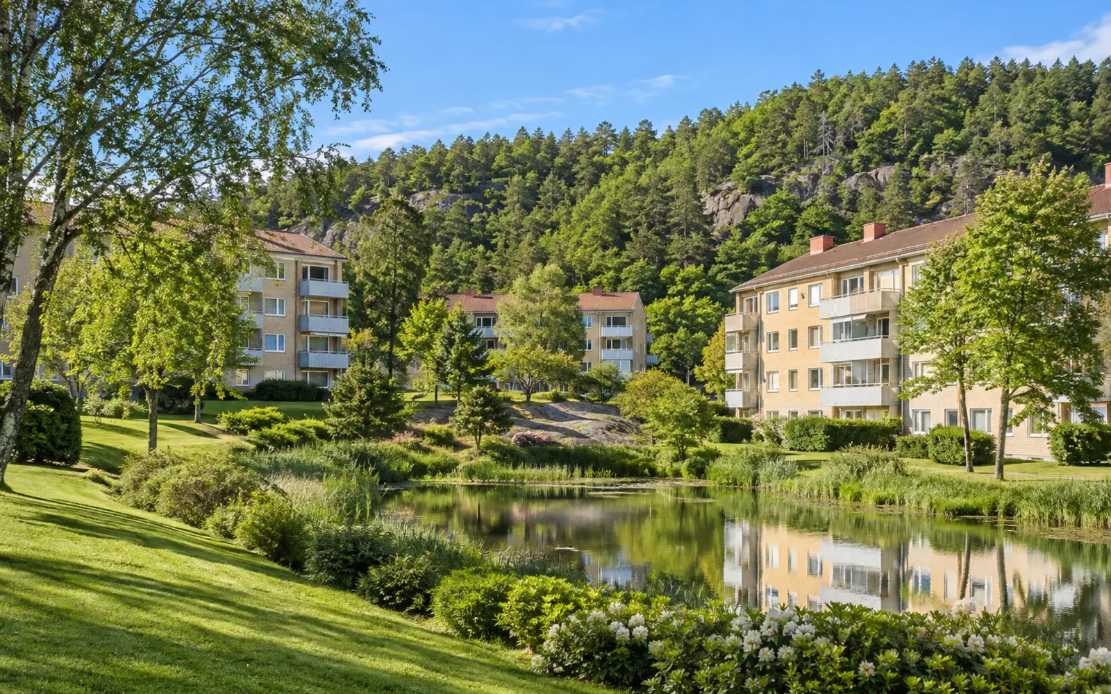 Björndammen i Partille