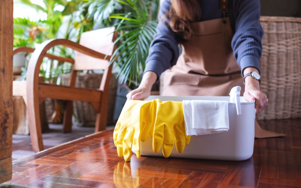 A young woman holding a bucket with cleaning tools and equipment at home